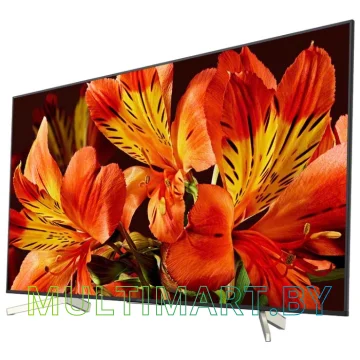 Телевизор Sony KD-49XF8596 картинка 2
